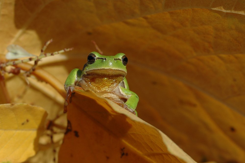 Photograph by Predrag Kostin