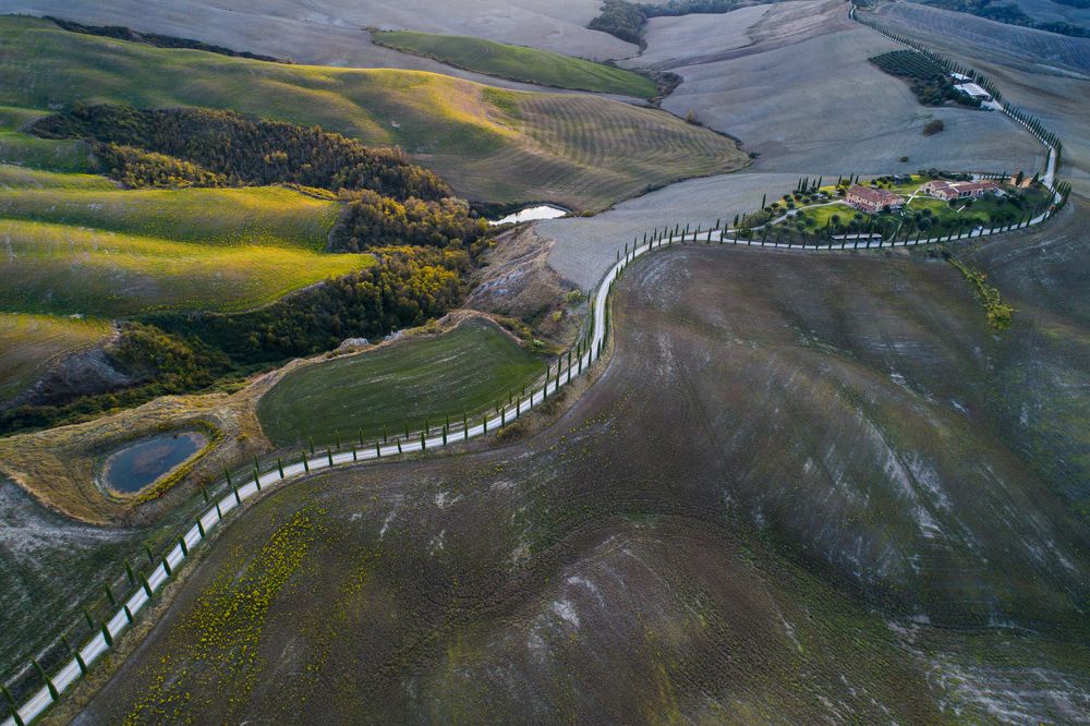 STROMORADIE V TALIANSKU