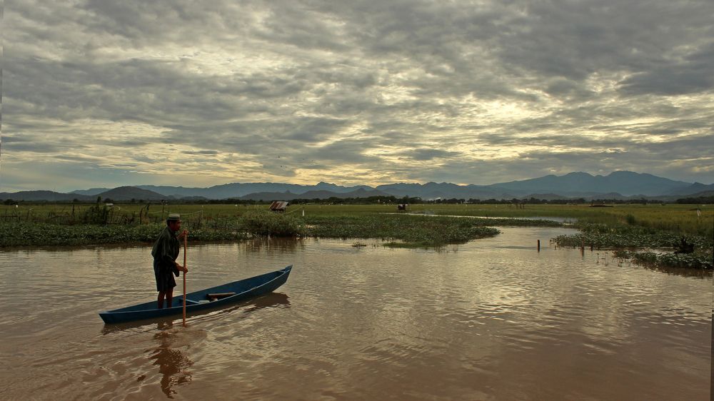 Oldman And The Nature