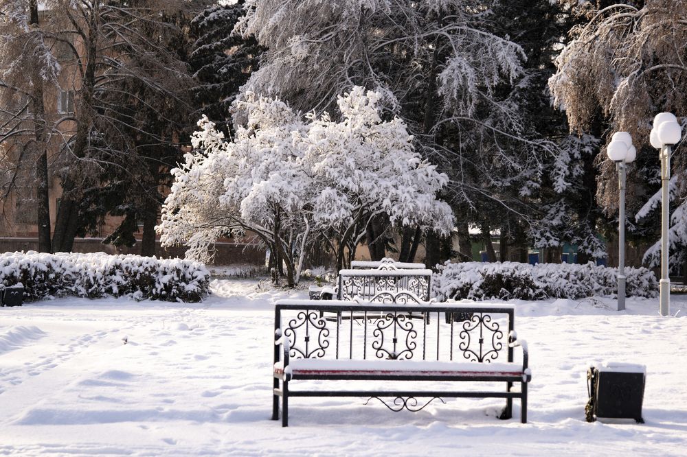 снежное утро...