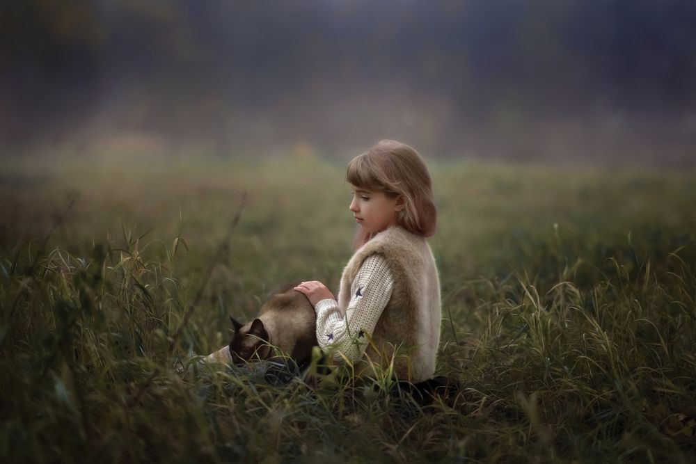 Розовый туман