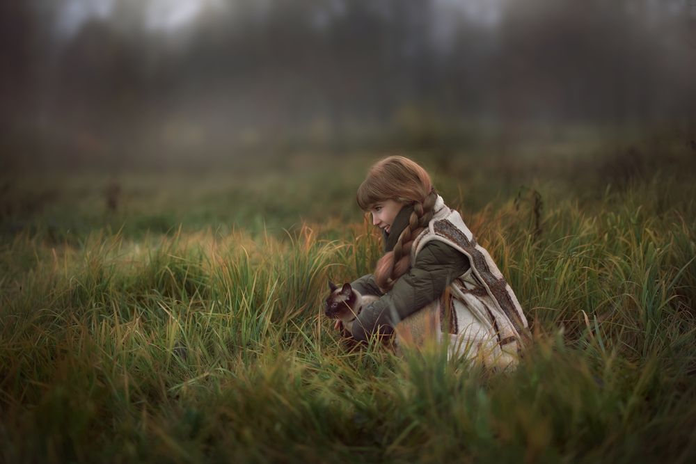 Туманная радость