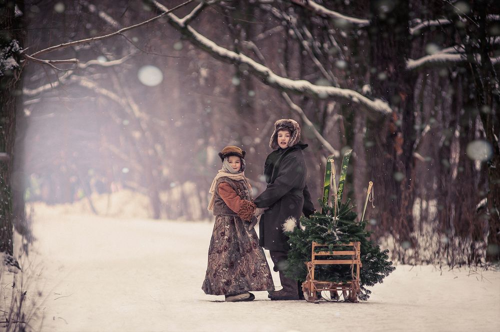 Из лесу елочку взяли мы домой....