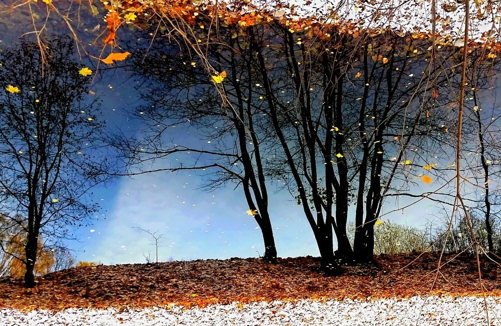 Прощальный пейзаж осени