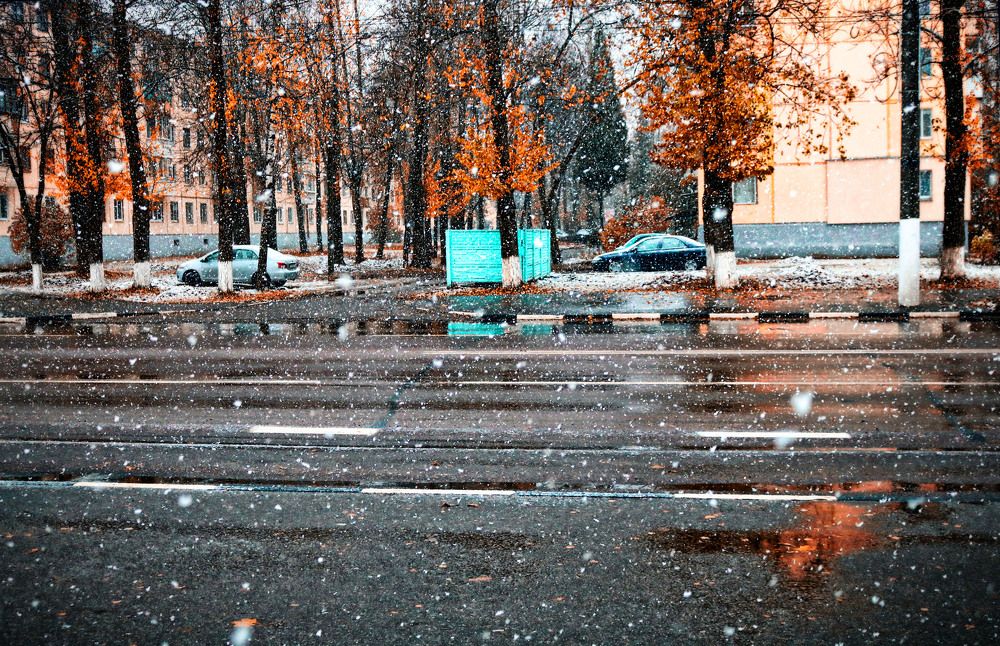 Первый снег