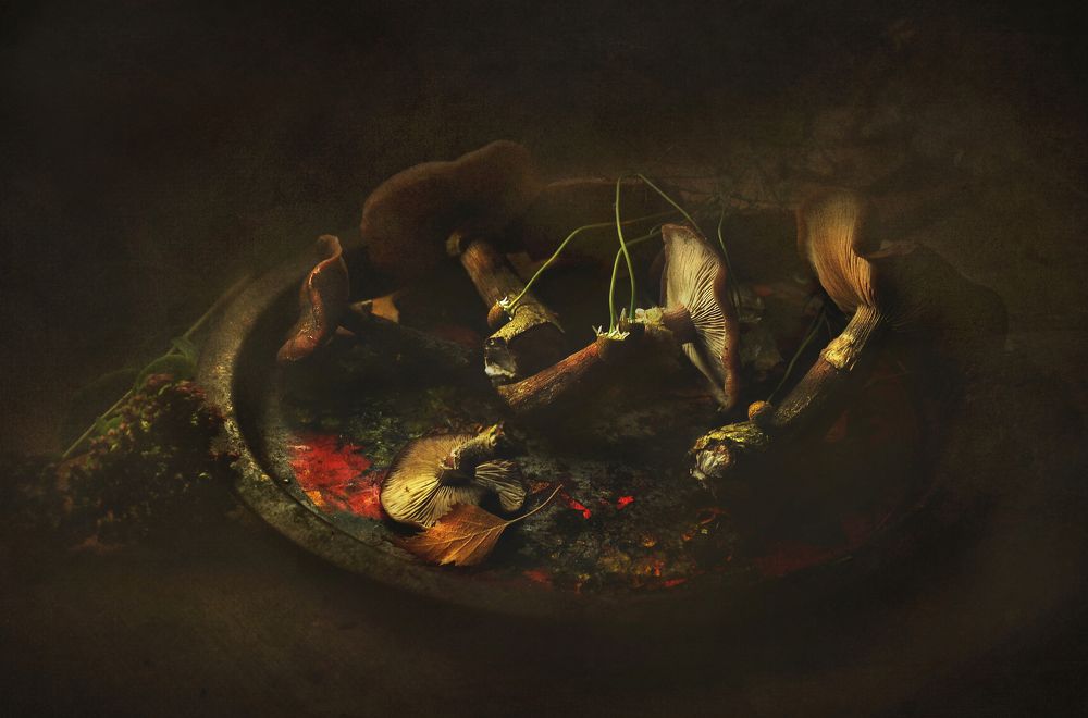 Photograph by Инна Буглак