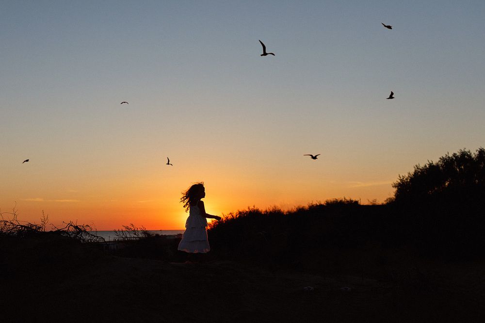 Море. А на море чайки.