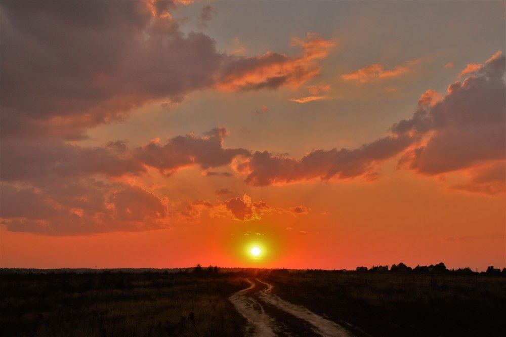 Photograph by Ирина Толмачева