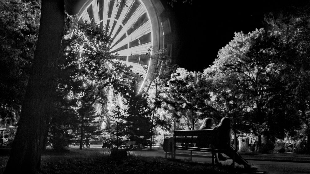 Ночь в парке