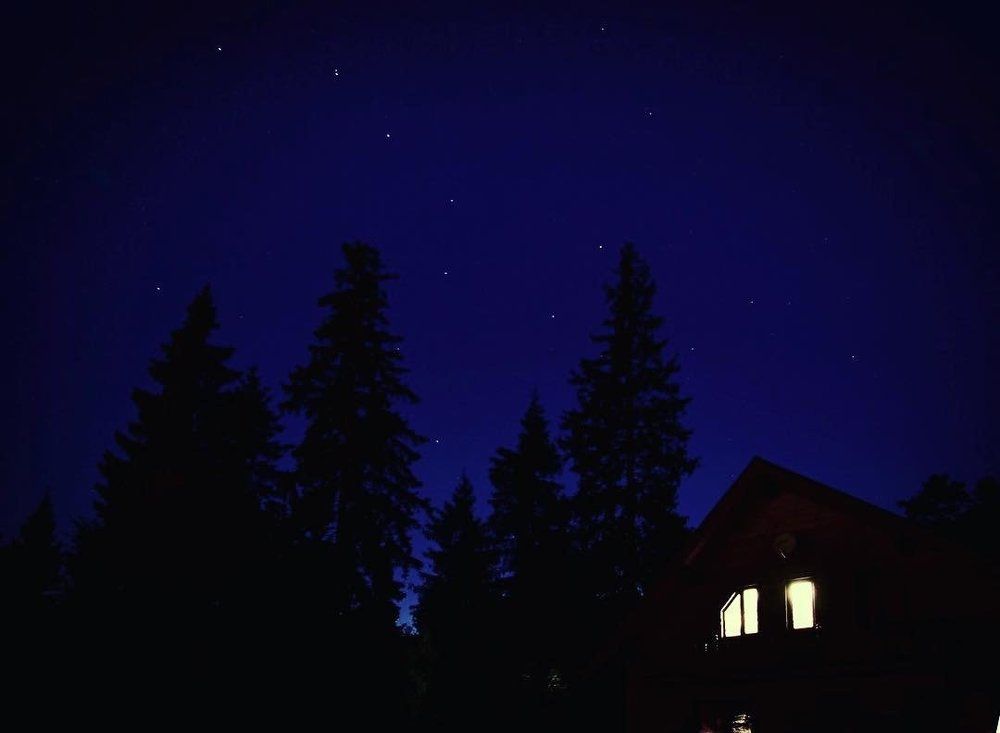 Большая медведица Подмосковья