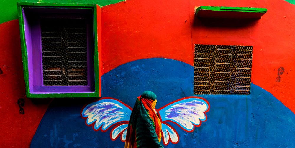 Butterfly In Street