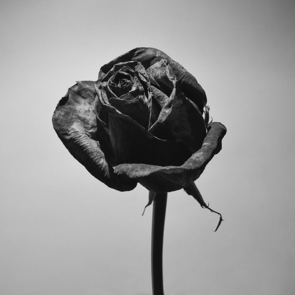 Со временем лишь краше/Better with age.