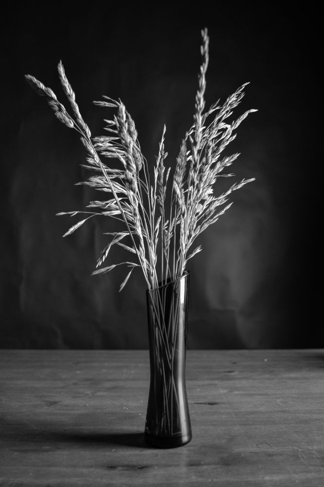 Колоски колосятся.