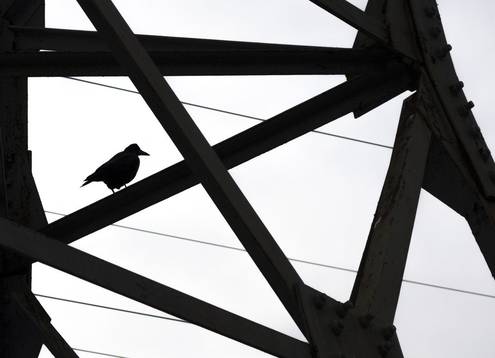 Photograph by Sergey Merkulov