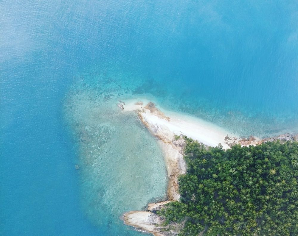 Выше только океан