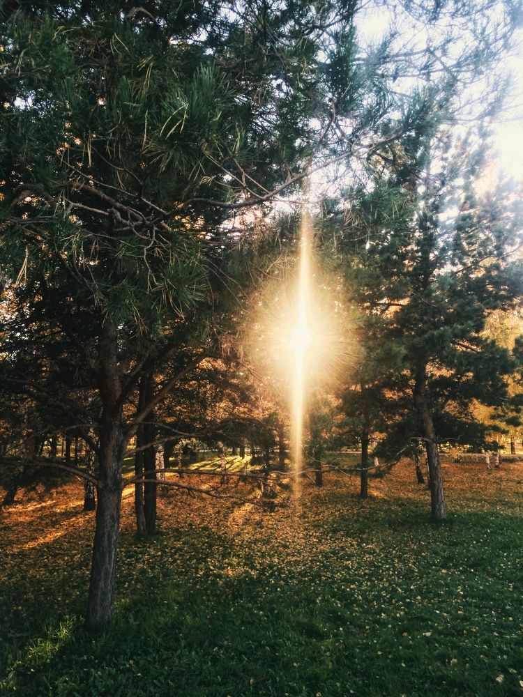 Однажды в сказке