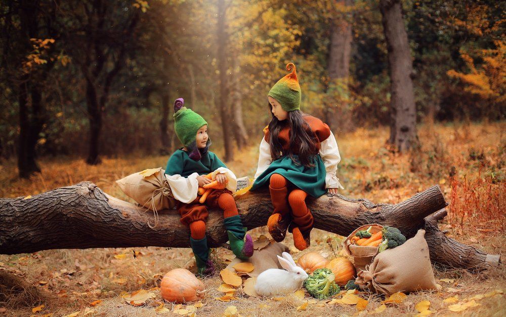 Осенняя история