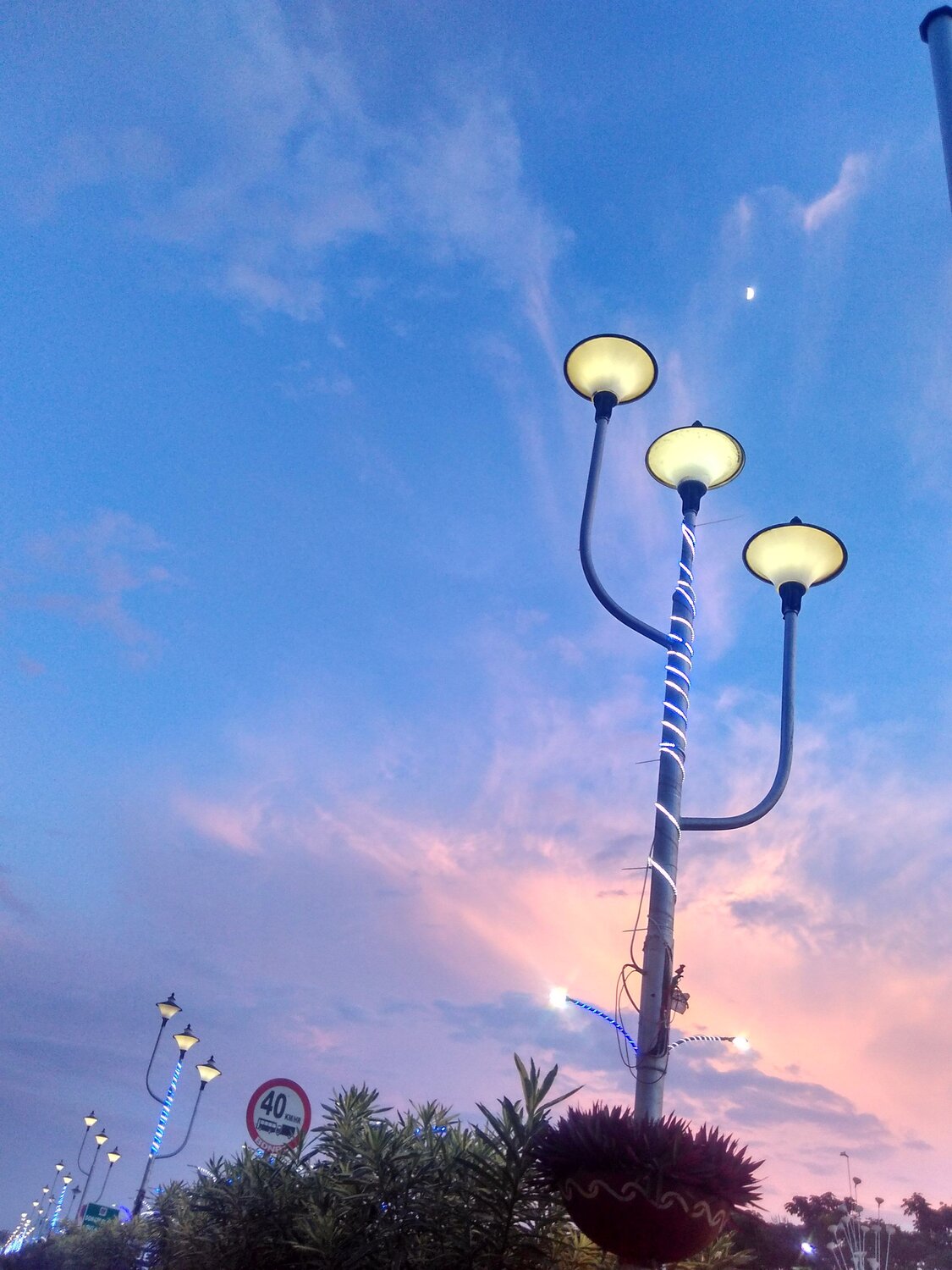 Majestic world