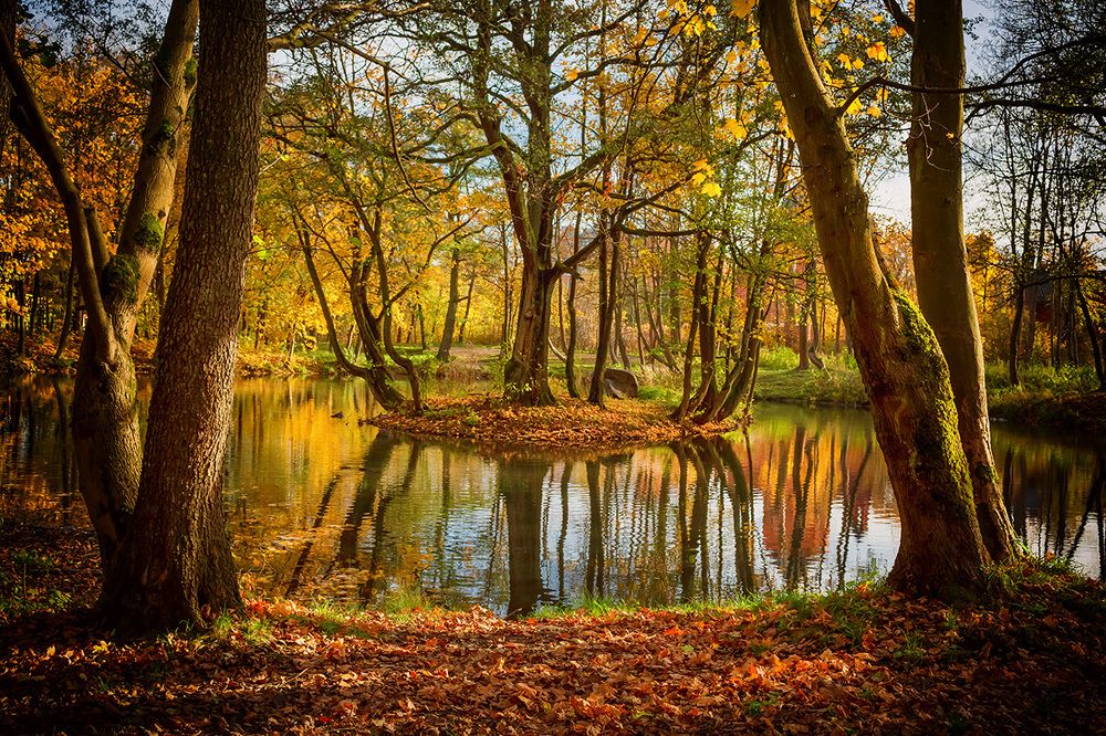 Photograph by Марина