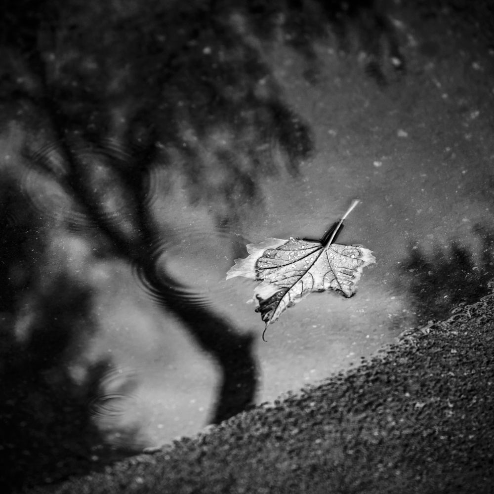 Трансформация