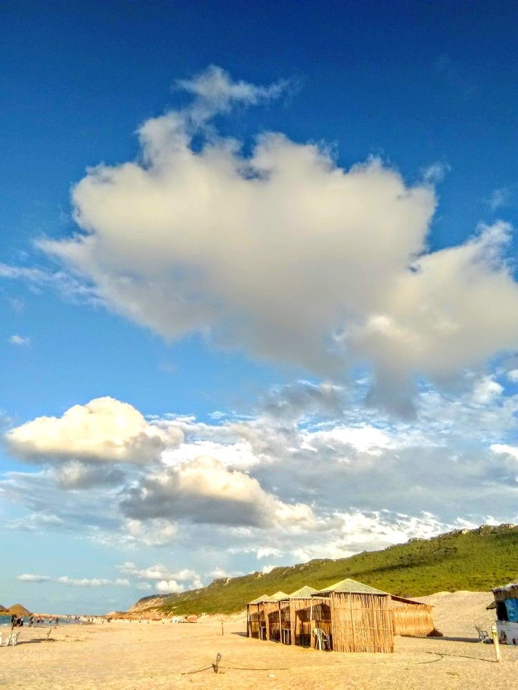 Thé perfection sky