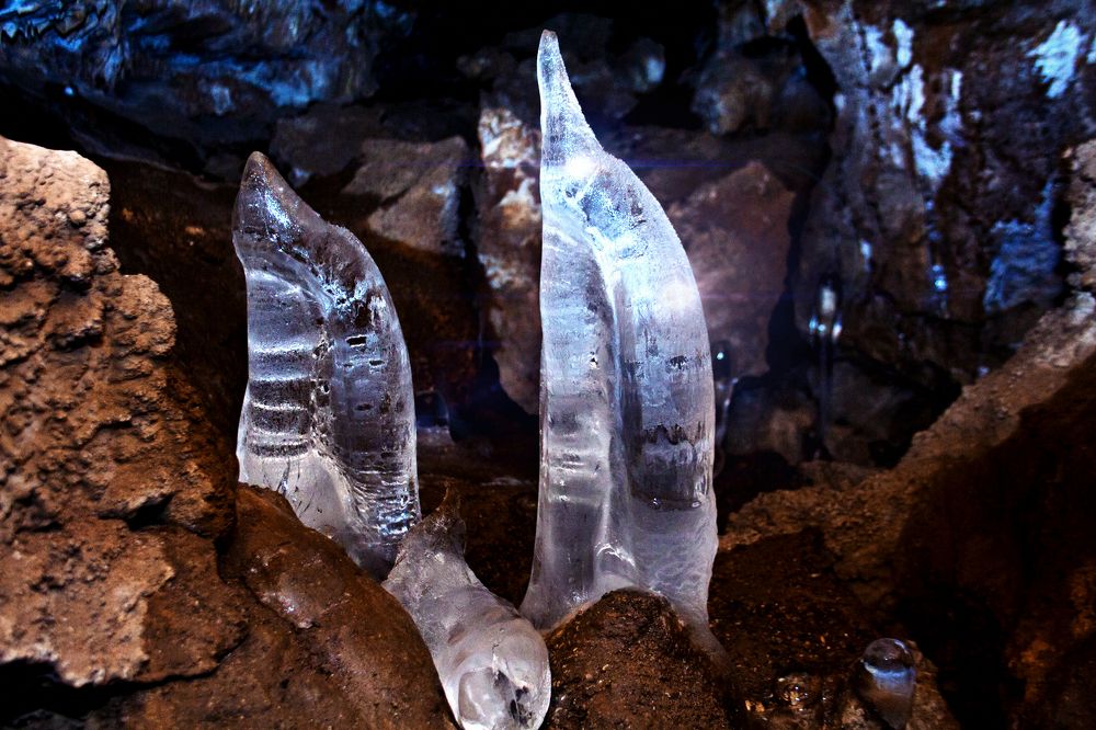 Подземные дельфины