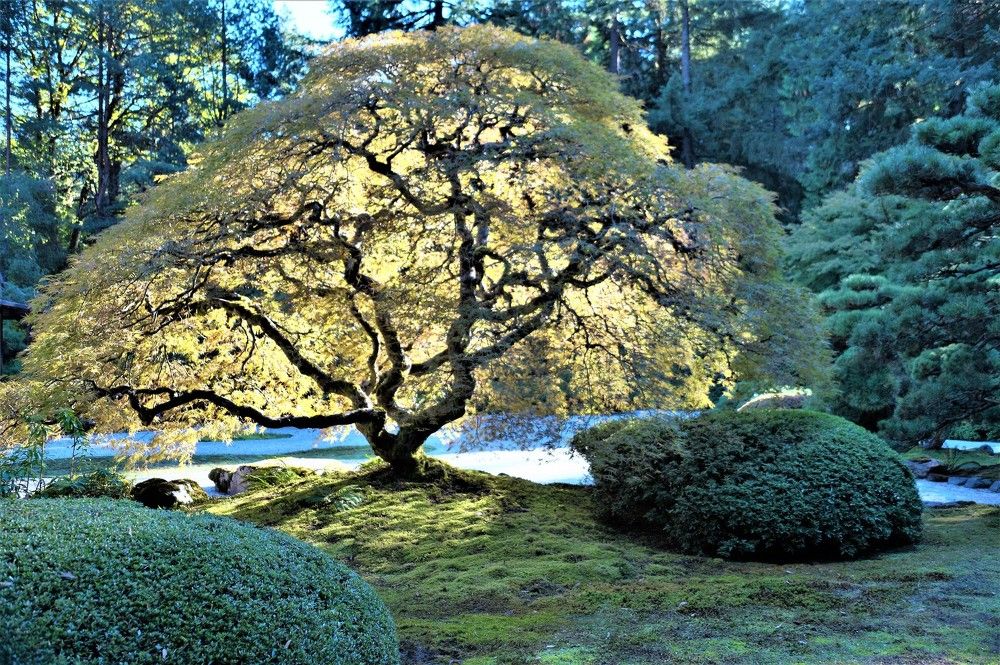 Beauty of the Season