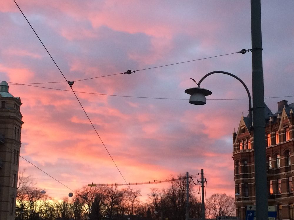 Photograph by Gemma Dez La Lour