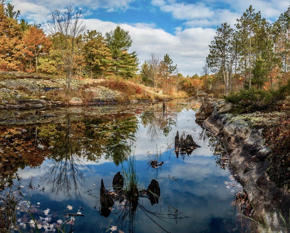 The beauty of autumn in the wild
