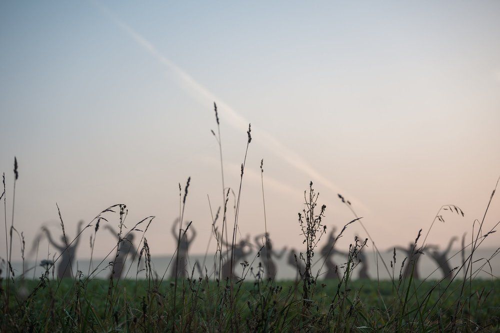 Танцы на рассвете