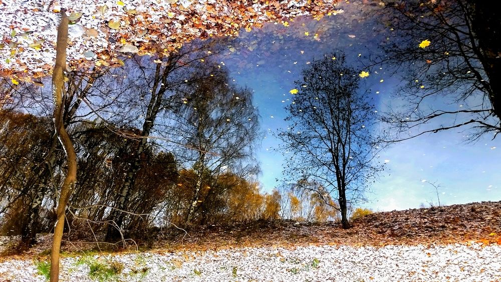 Осеняя грусть