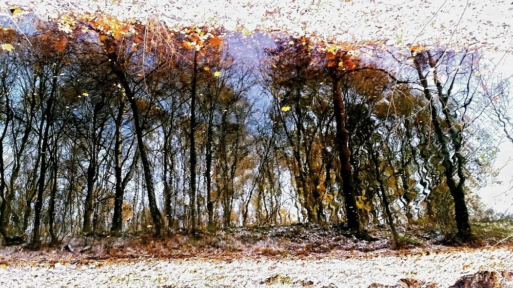 Первый снег