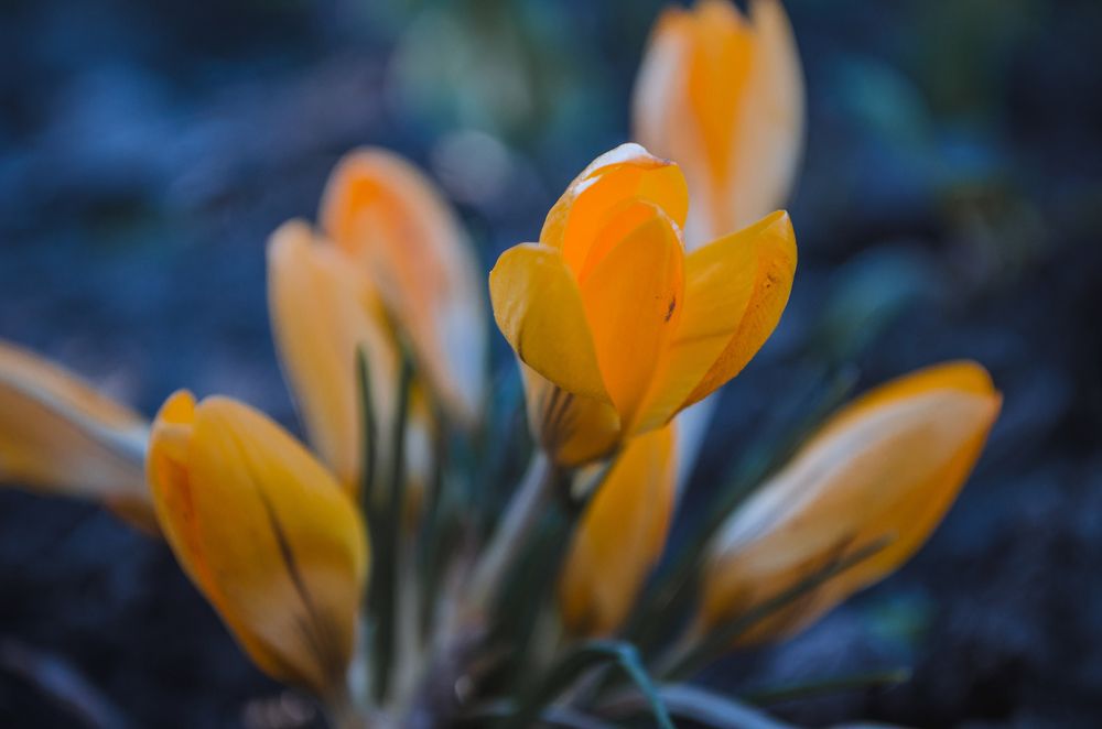 Пробуждение