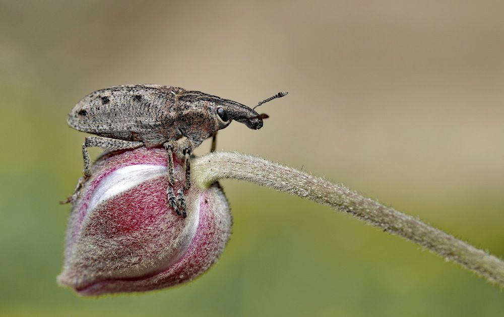 Photograph by Игорь Осипов