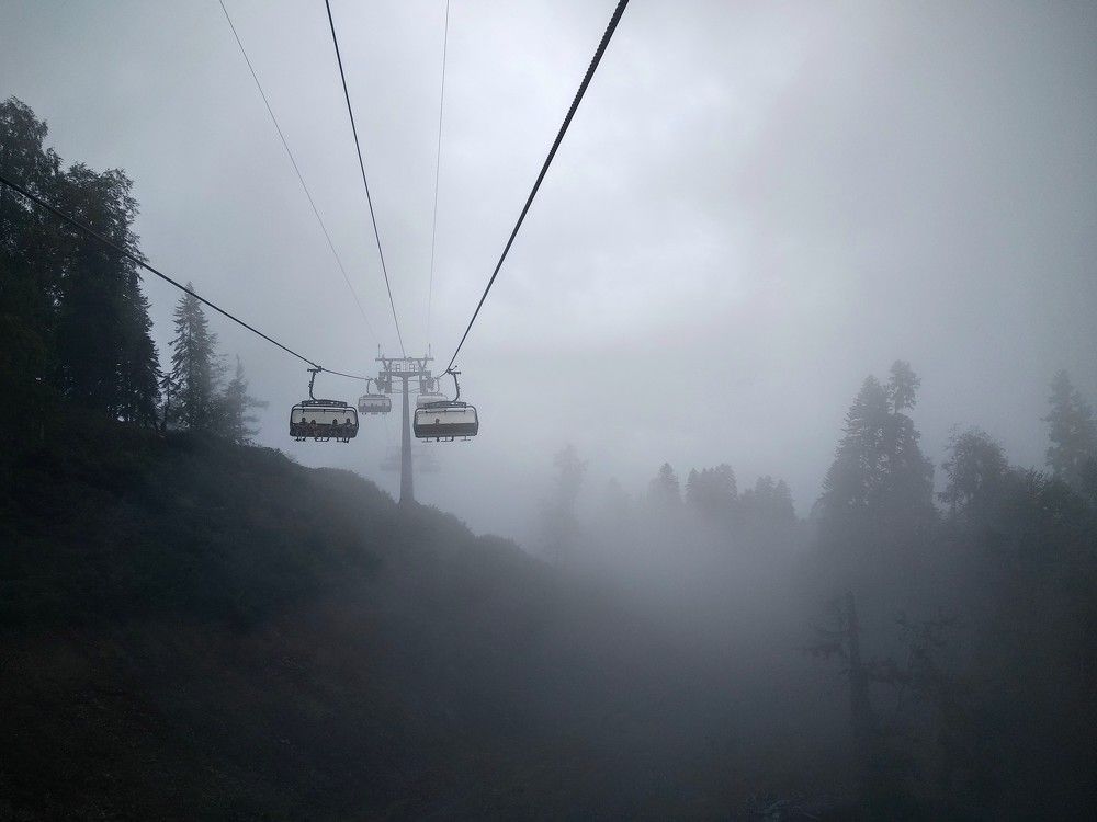 Бескрайний лес