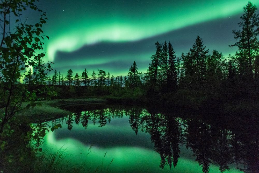 ночная Аврора