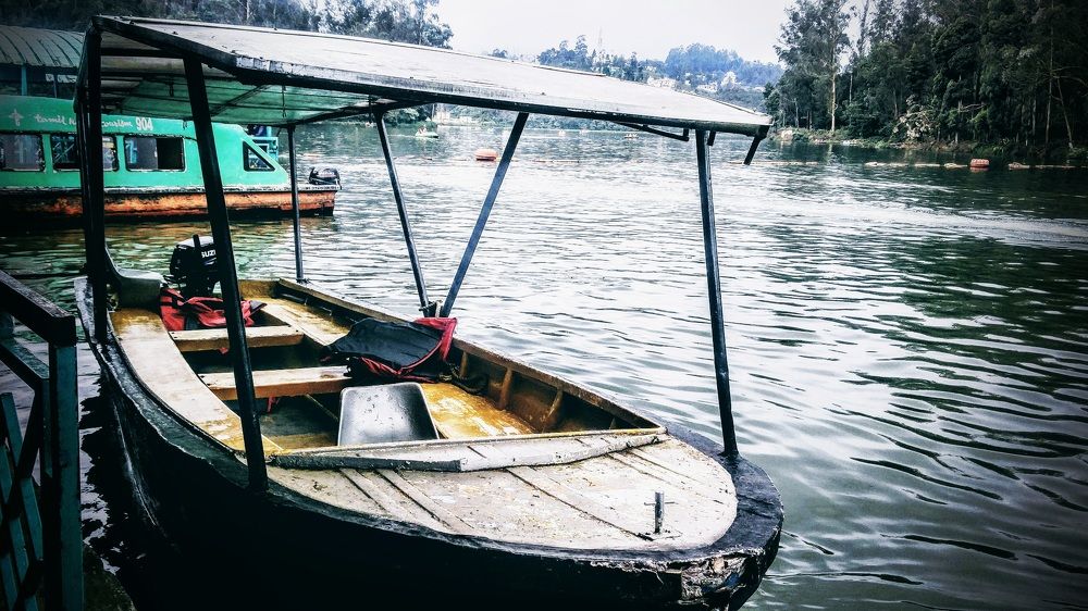 Lake view