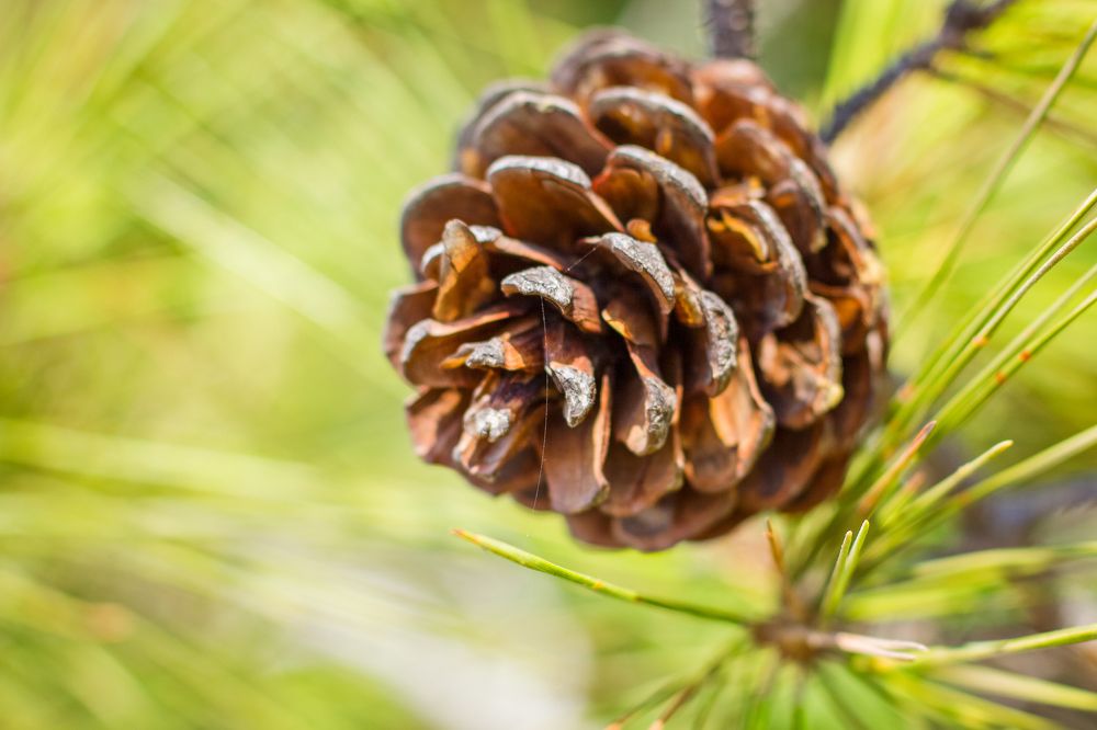 Photograph by Анна Кесарева