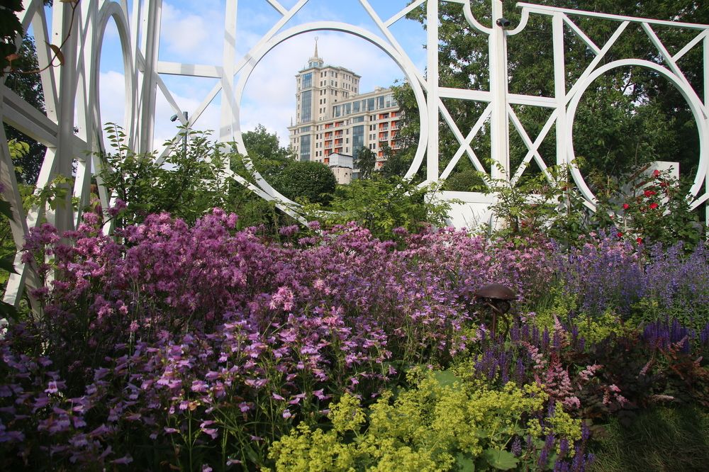 Moscow garden