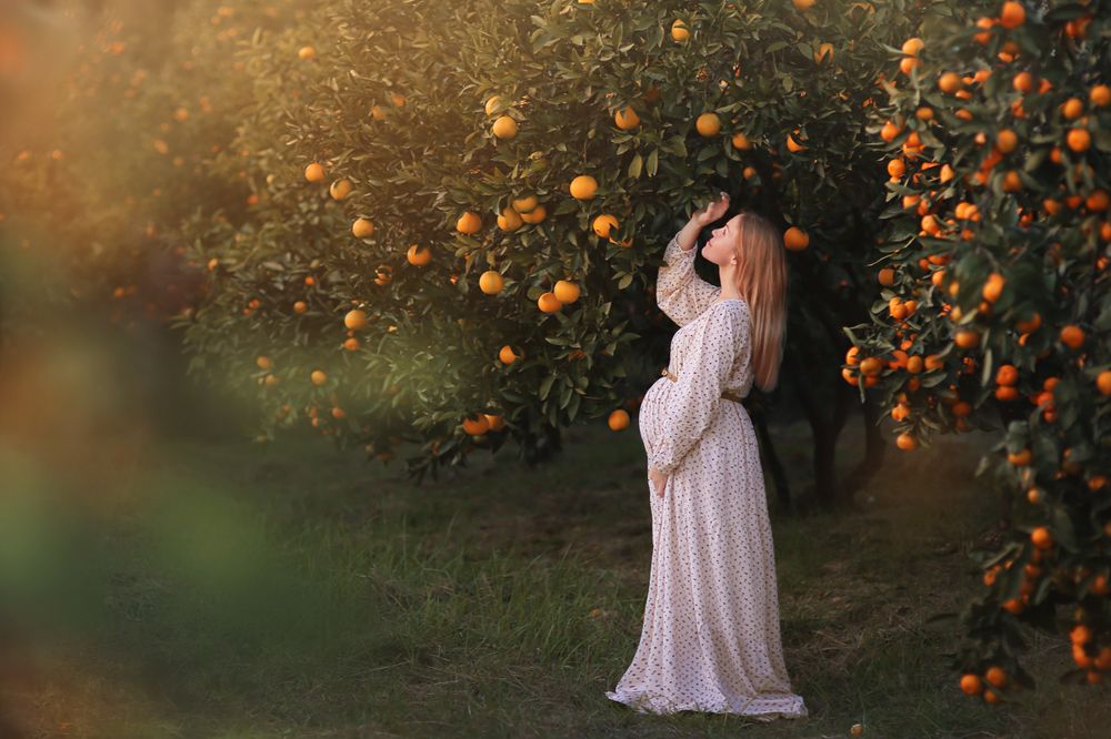 мандариновый сад