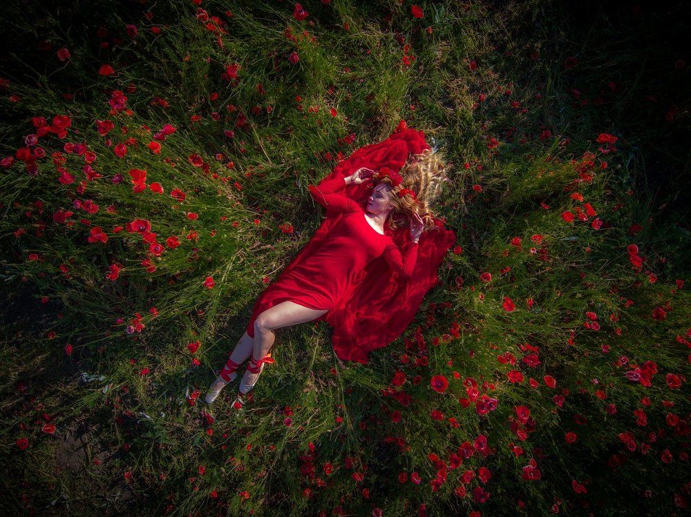 АЛЕНЬКИЙ ЦВЕТОЧЕК