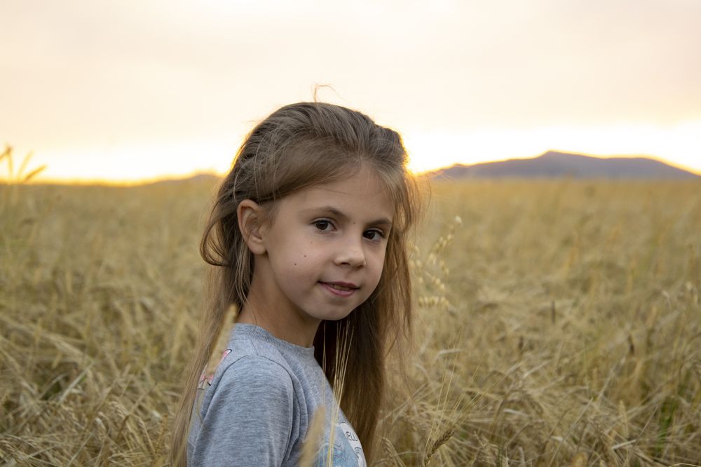 закат в поле