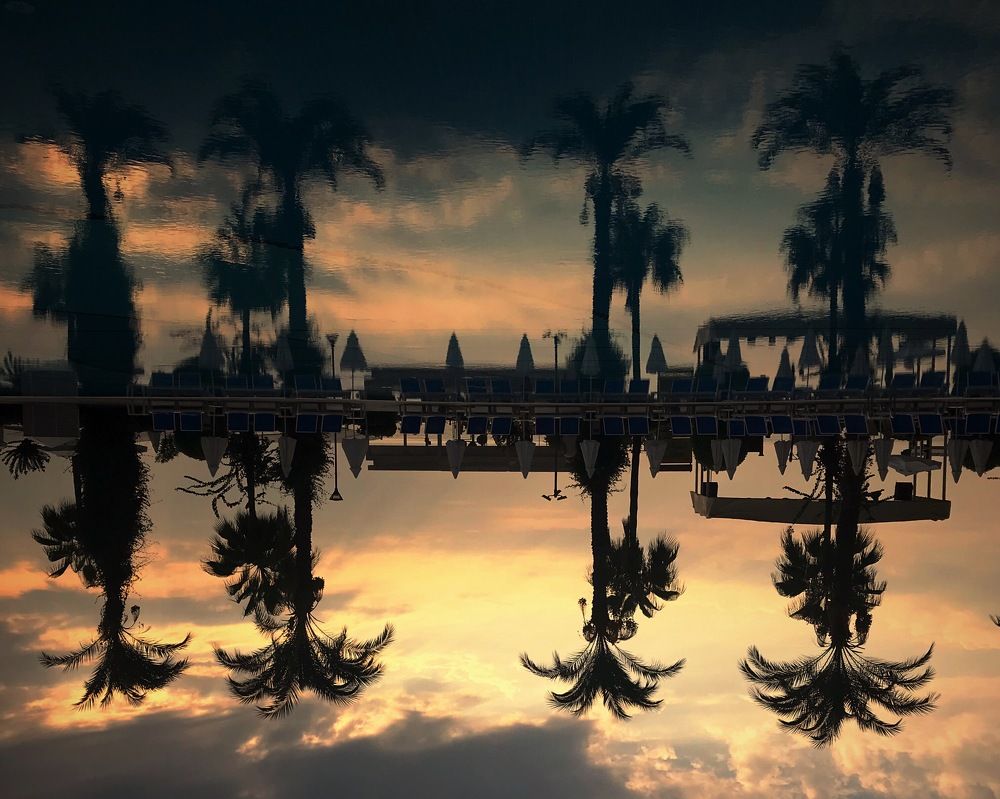 Солнце. Пальмы. Море.