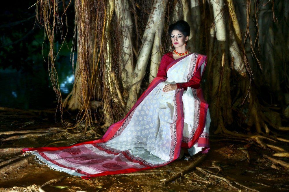 A Beautiful Lady on a Traditional dress