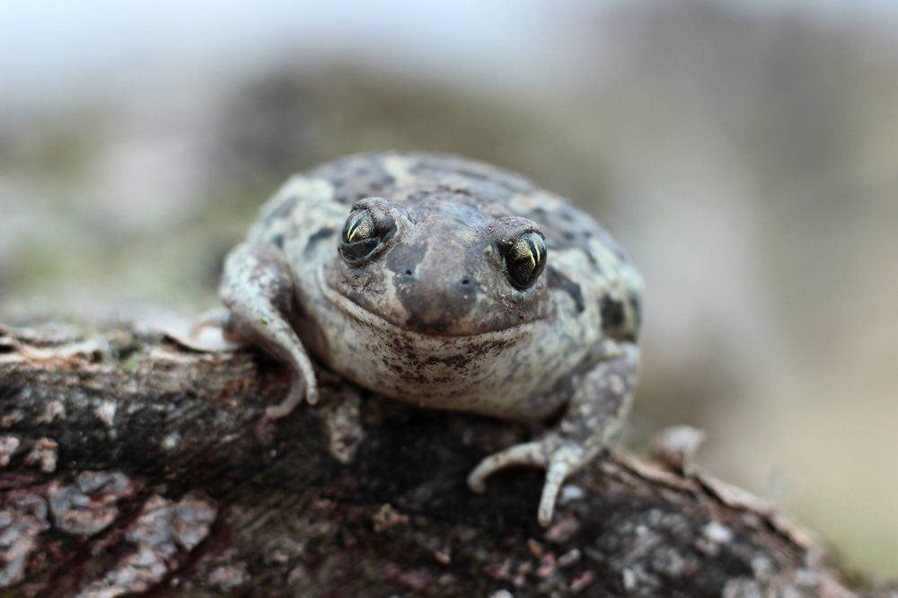 без макияжа