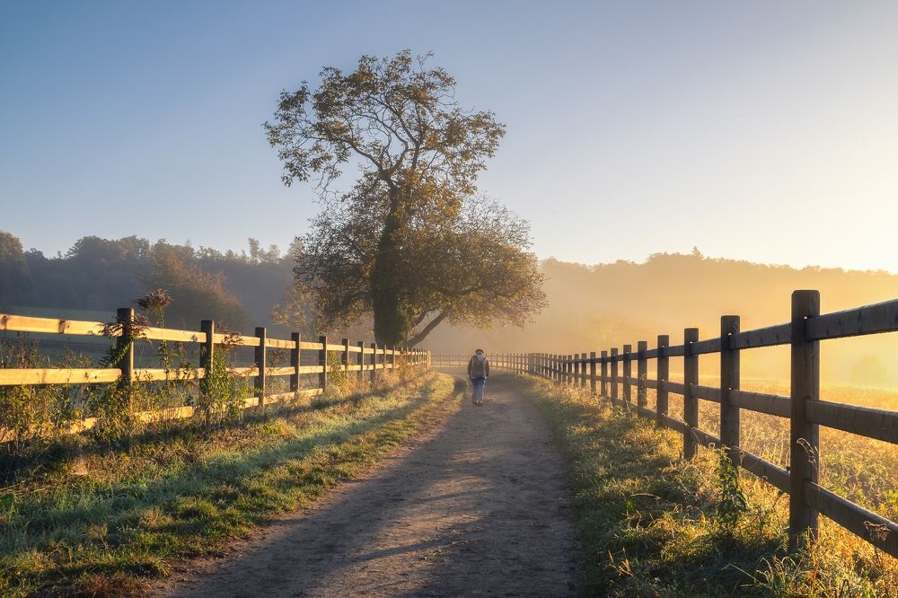 Всему своё время