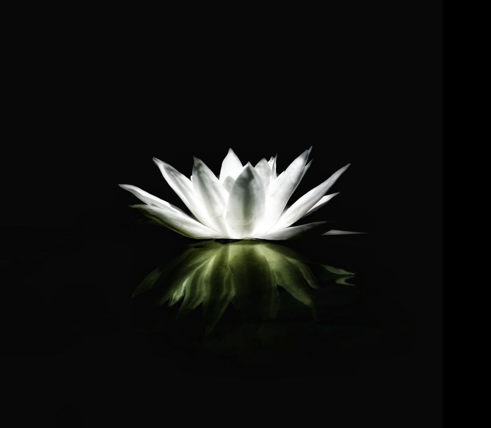 Photograph by Людмила М