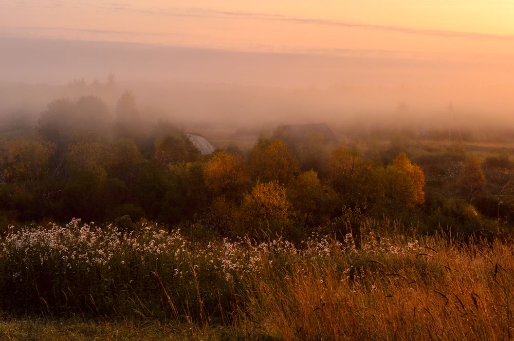 "Осенний плен"
