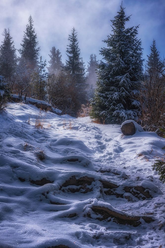 Путь на высокогорное плато