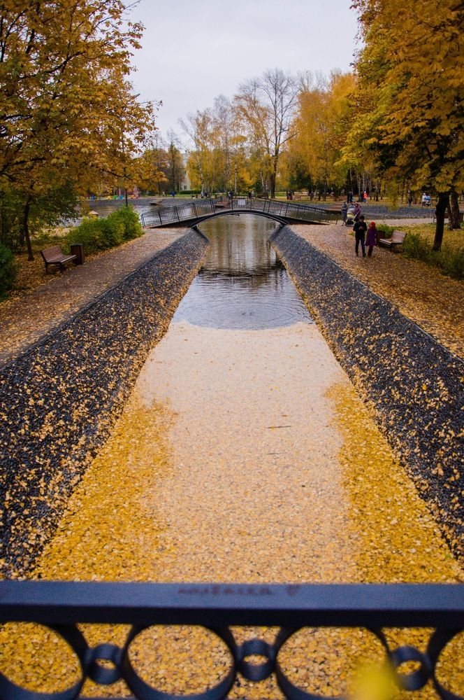 Золотая осень